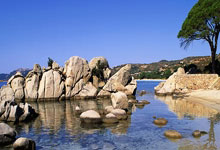 PG游戏- 最新的塞伦盖蒂 